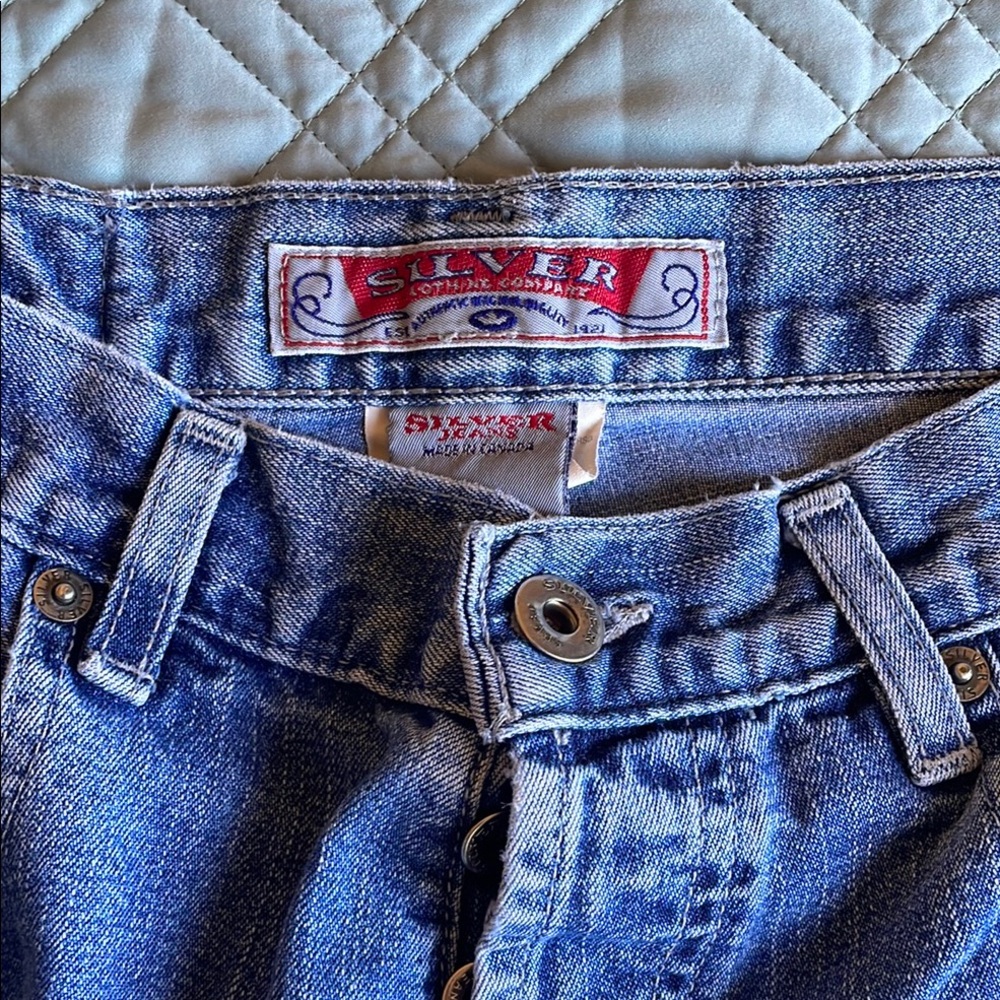Silver Jeans Men's Blue Jeans (P12)